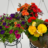 Designers Choice Moss Hanging Basket 14 inch