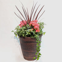 Large Begonia Combination Patio Pot
