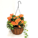 Moss Begonia Hanging Basket