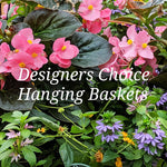 Designer's Choice Hanging Baskets